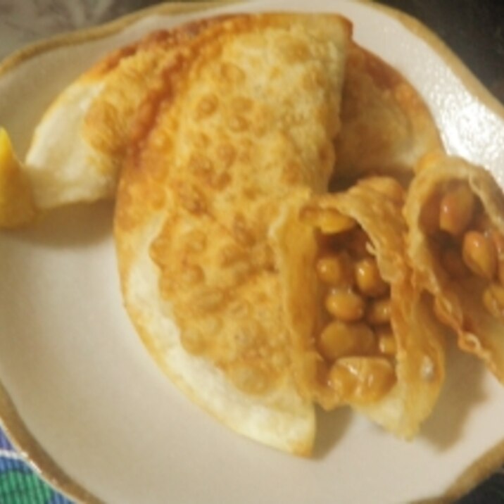 残った餃子の皮で！納豆揚げ！